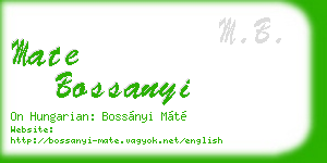 mate bossanyi business card